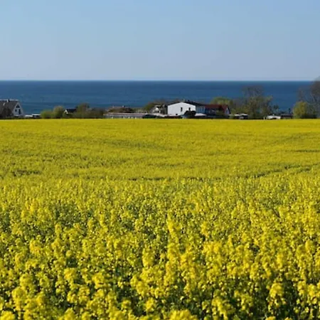 Moeve Aba 66 Дом отдыха *