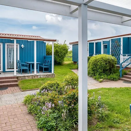 Moeve Aba 66 * Рерик