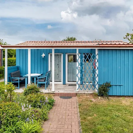 Moeve Aba 66 Рерик